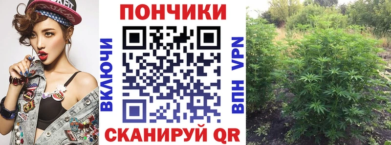 mega как зайти магазин наркотиков Кисловодск Канабис конопля